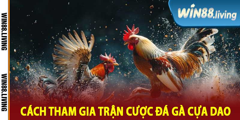 Cách Tham Gia Trận Cược Đá Gà Cựa Dao