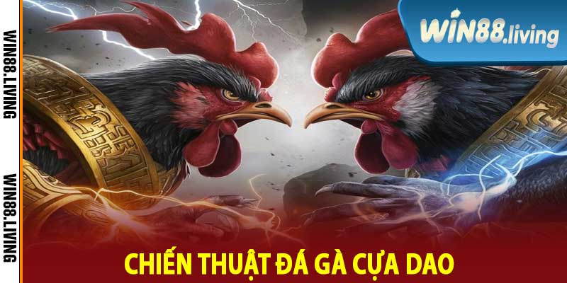 Chiến Thuật Đá Gà Cựa Dao