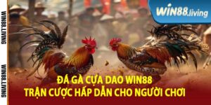 Đá Gà Cựa Dao Win88 Trận Cược Hấp Dẫn Cho Người Chơi